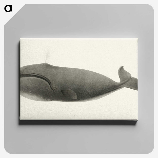 1-3_Charles-Melville-Scammon_canvas