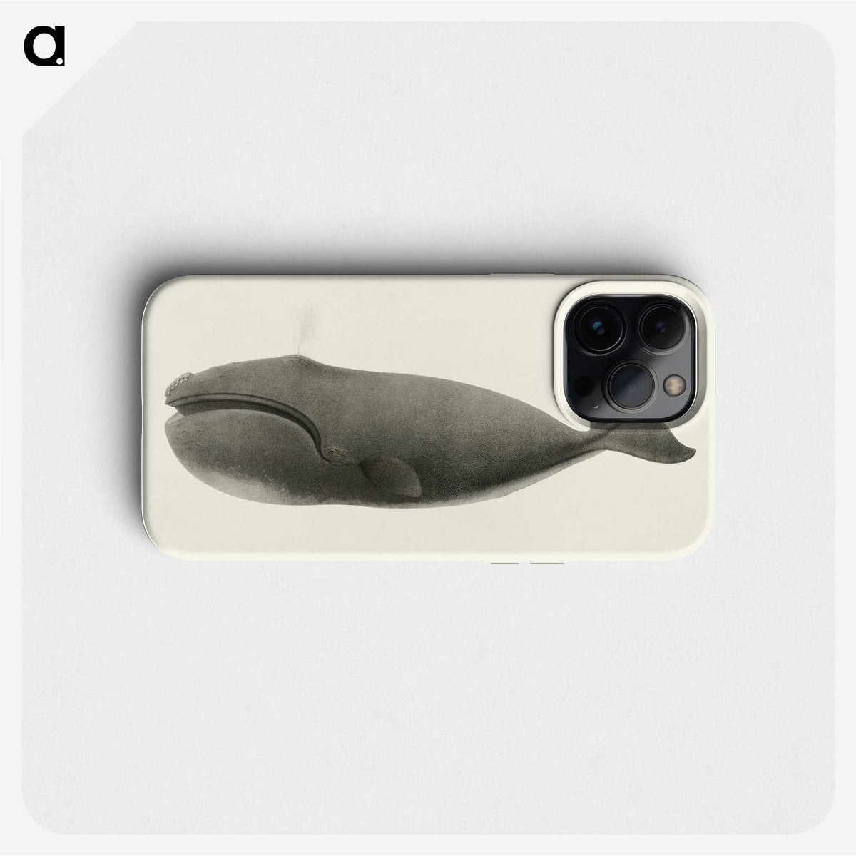 1-3_Charles-Melville-Scammon_phone