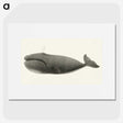 1-3_Charles-Melville-Scammon_picture