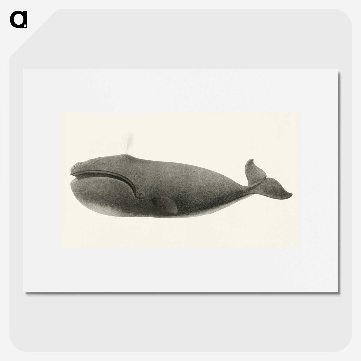 1-3_Charles-Melville-Scammon_picture