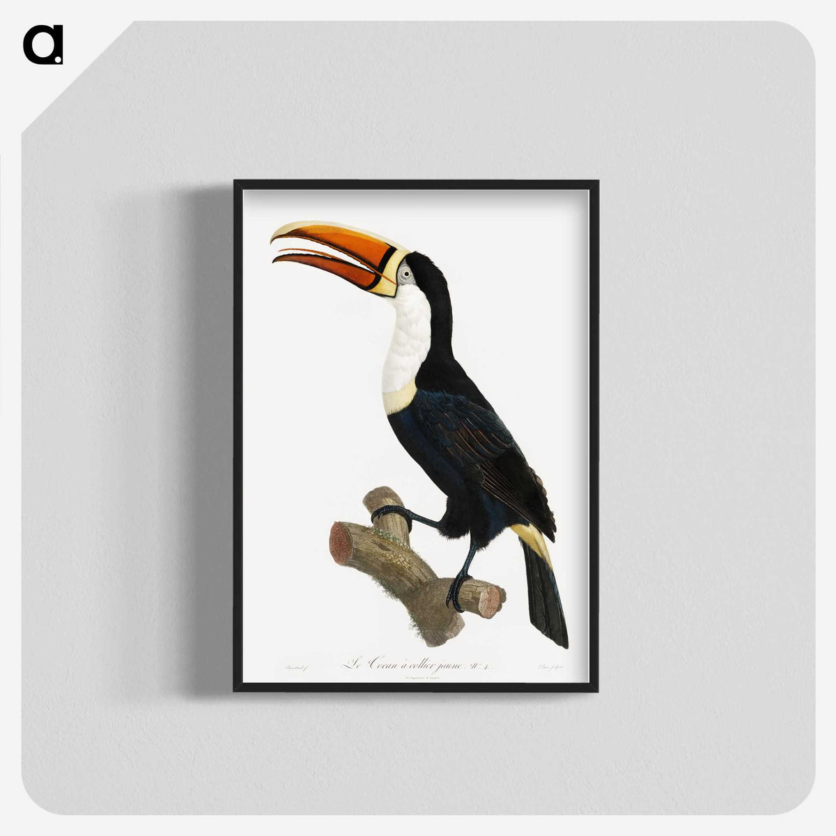 1-3_Des-Oiseaux-de-Paradis_blk-crop