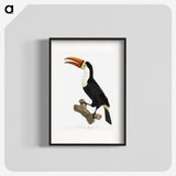 1-3_Des-Oiseaux-de-Paradis_blk