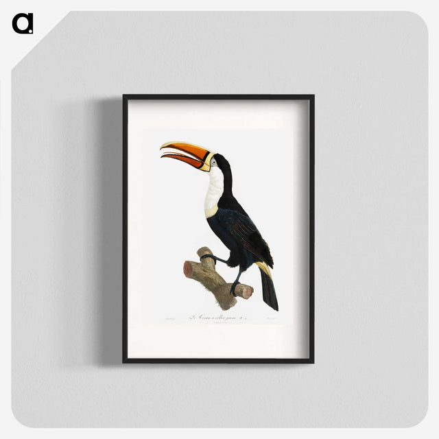 1-3_Des-Oiseaux-de-Paradis_blk