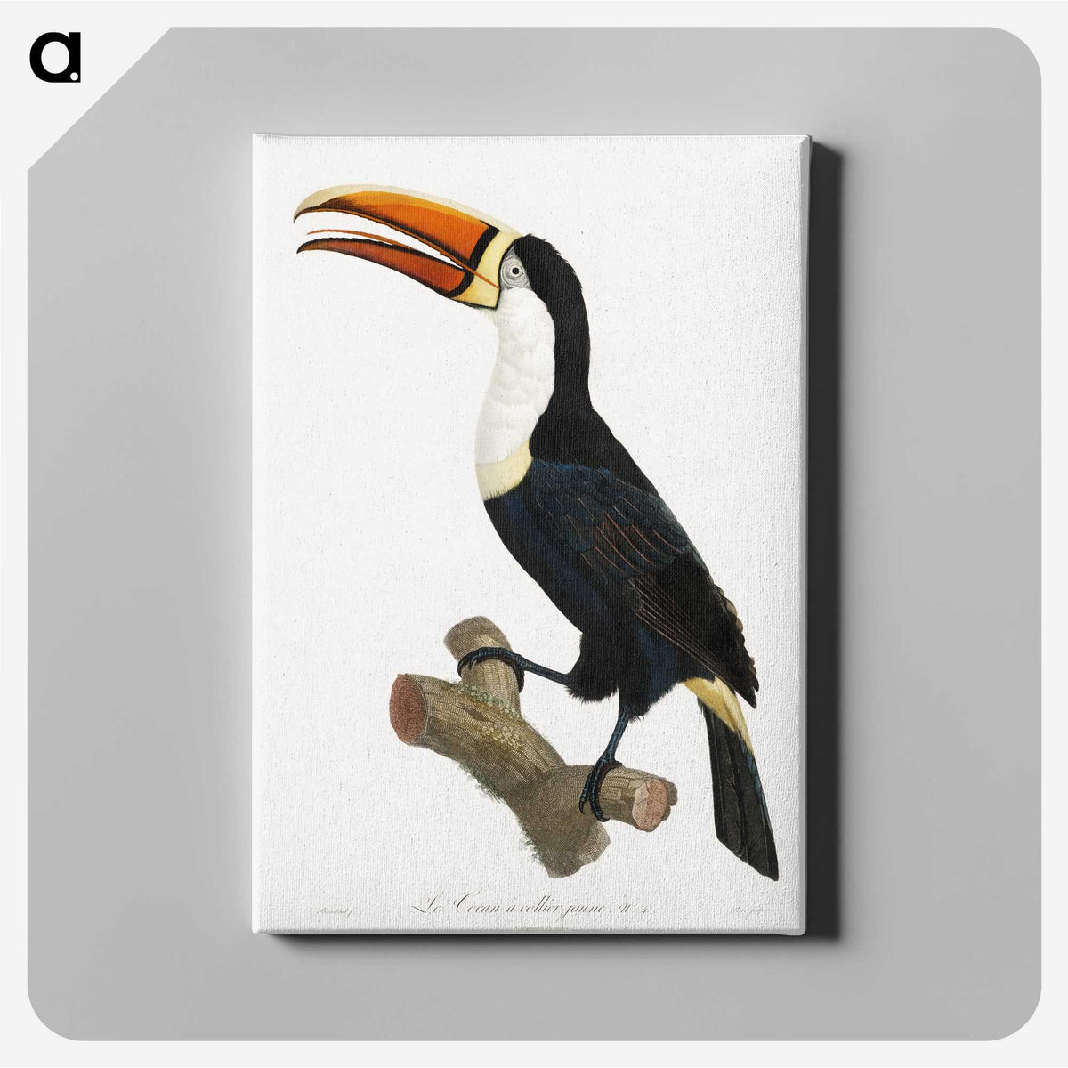 1-3_Des-Oiseaux-de-Paradis_canvas