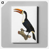 1-3_Des-Oiseaux-de-Paradis_canvas