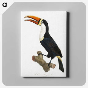 1-3_Des-Oiseaux-de-Paradis_canvas