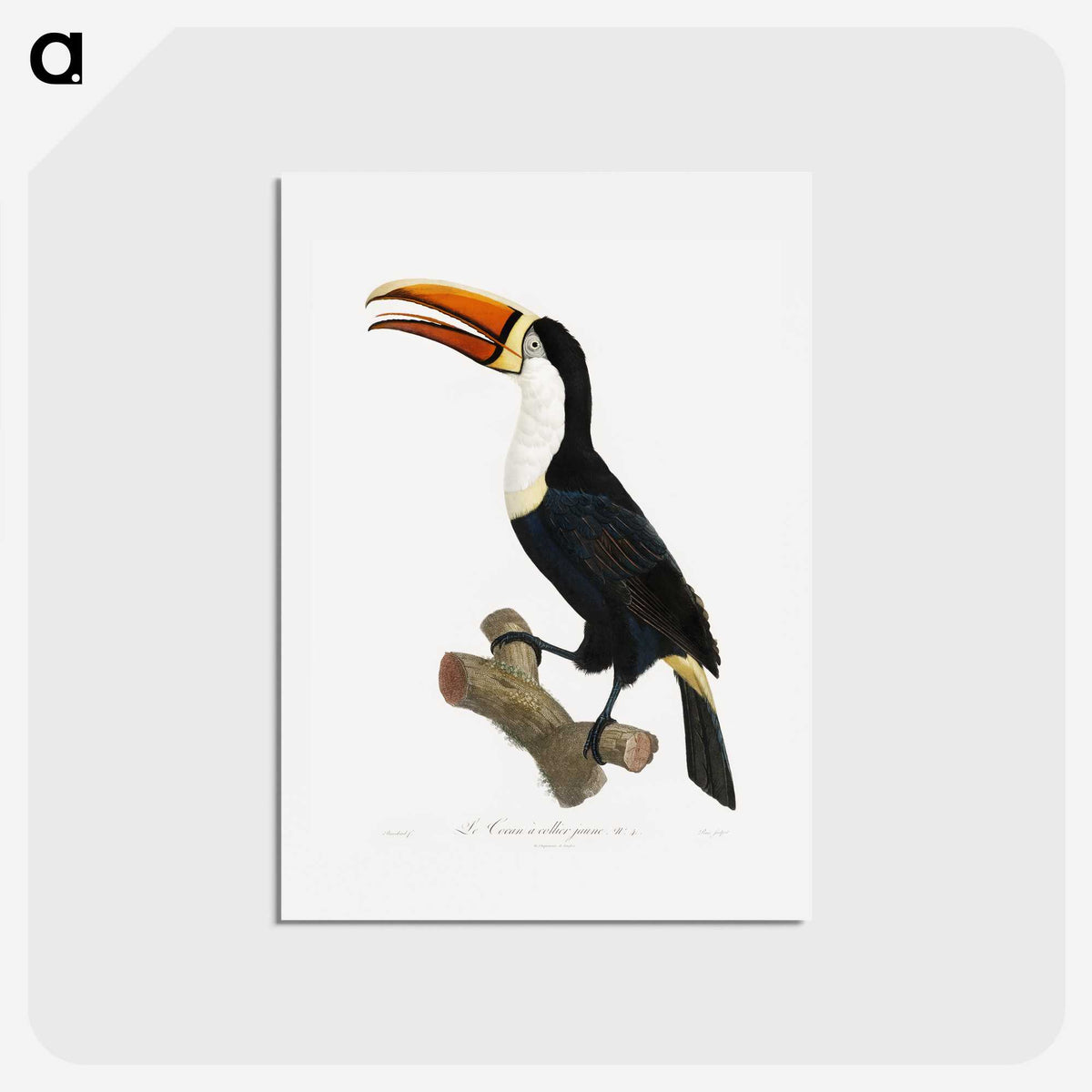 1-3_Des-Oiseaux-de-Paradis_hagaki