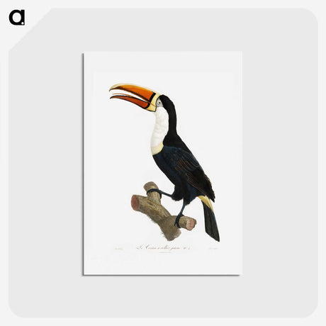 1-3_Des-Oiseaux-de-Paradis_hagaki