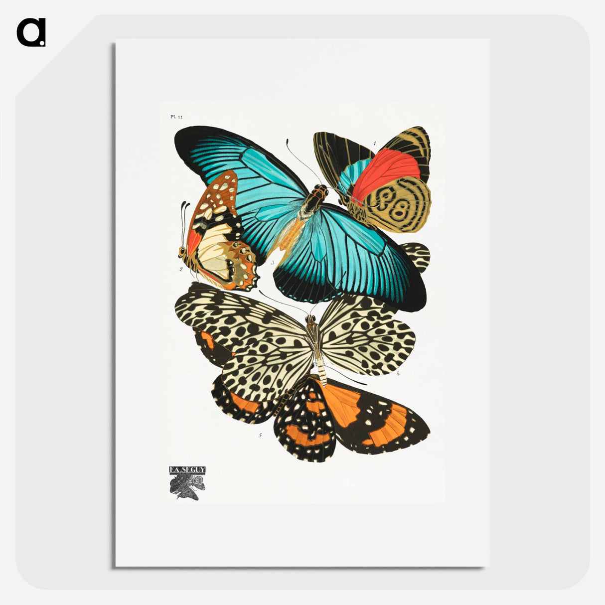 E.A. Séguy's vintage butterflies - E.A.セギー Poster.