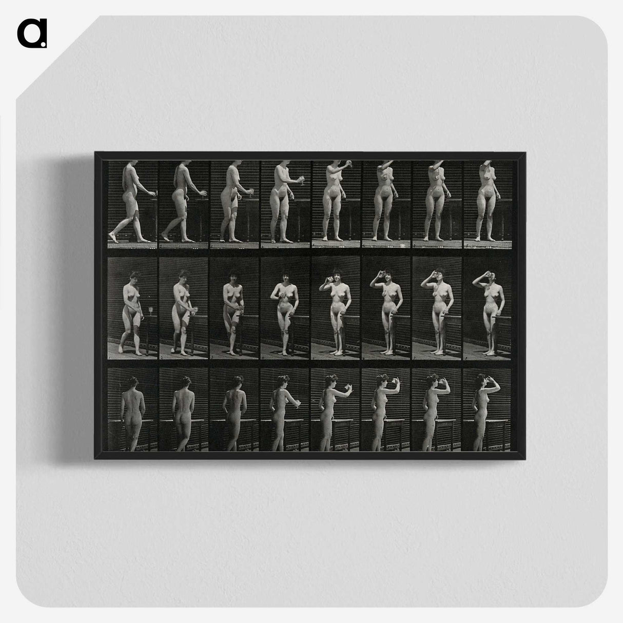 1-3_Eadweard-Muybridge_blk-crop