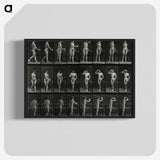 1-3_Eadweard-Muybridge_blk-crop