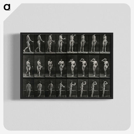 1-3_Eadweard-Muybridge_blk-crop