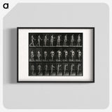 1-3_Eadweard-Muybridge_blk