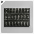 1-3_Eadweard-Muybridge_canvas