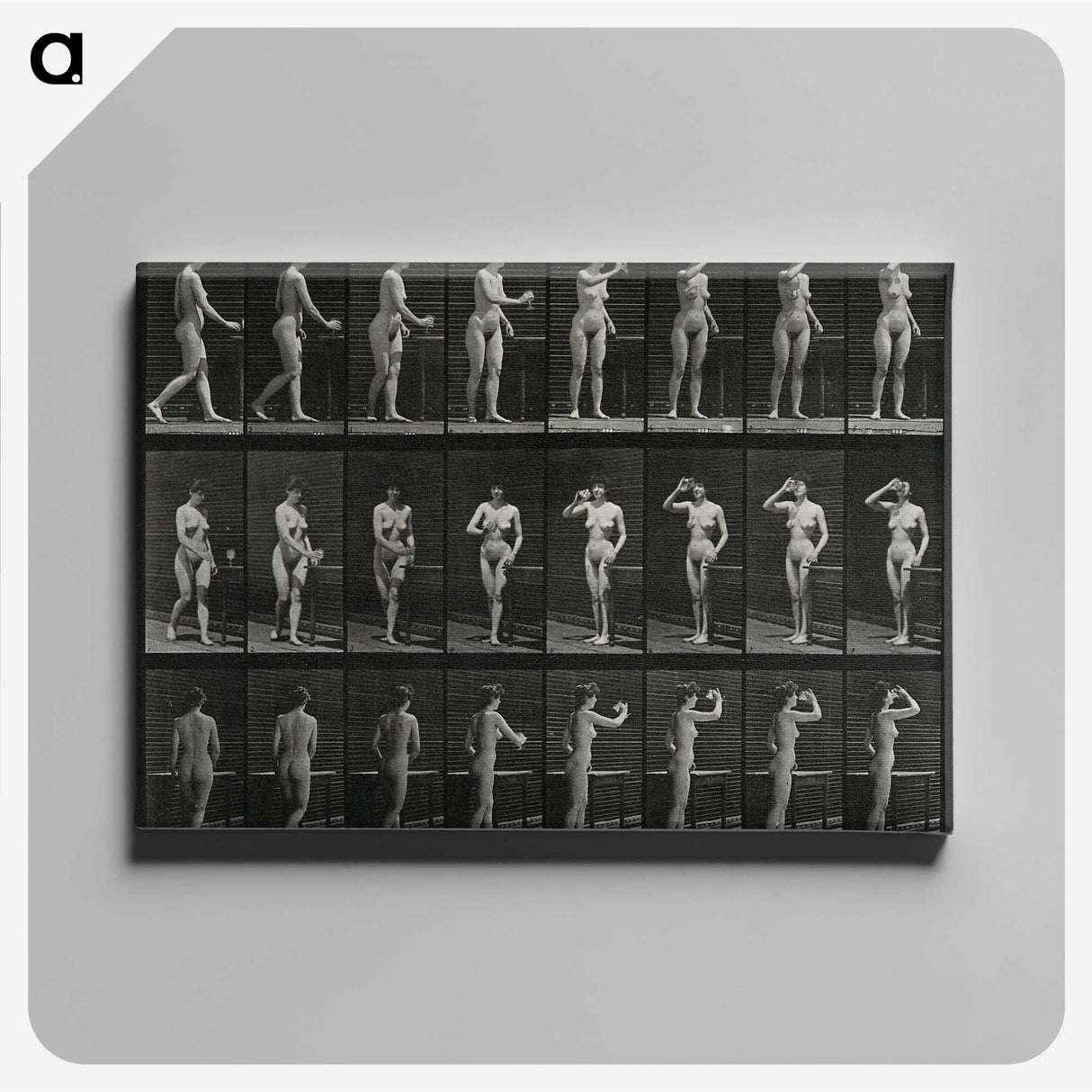 1-3_Eadweard-Muybridge_canvas