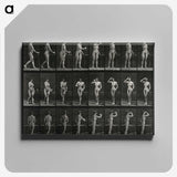 1-3_Eadweard-Muybridge_canvas