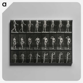 1-3_Eadweard-Muybridge_canvas