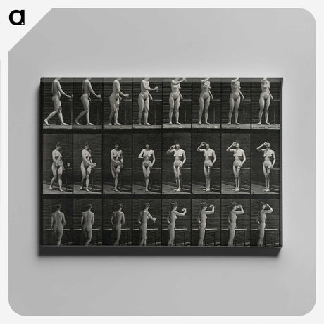 1-3_Eadweard-Muybridge_canvas