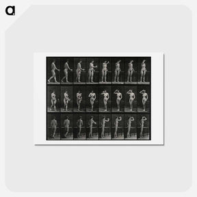 アートポストカード-Woman with Goblet
 - エドワード マイブリッジ Postcard.