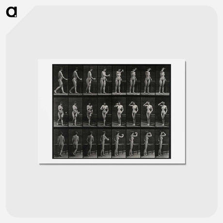 アートポストカード-Woman with Goblet
 - エドワード マイブリッジ Postcard.