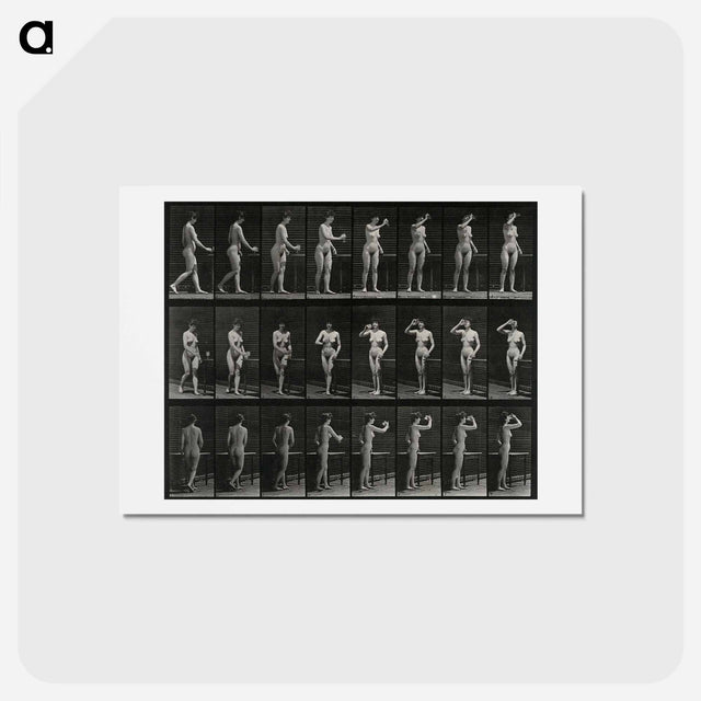アートポストカード-Woman with Goblet
 - エドワード マイブリッジ Postcard.