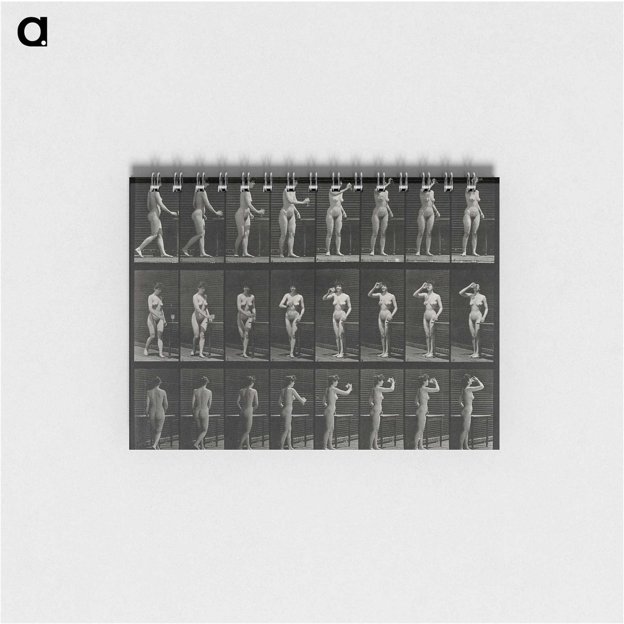 1-3_Eadweard-Muybridge_memo