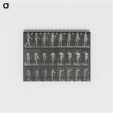 1-3_Eadweard-Muybridge_memo