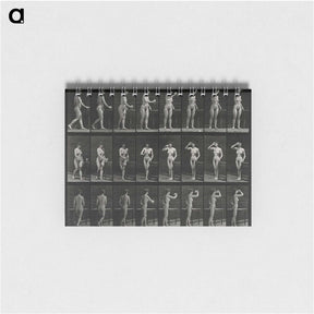 1-3_Eadweard-Muybridge_memo