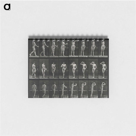 1-3_Eadweard-Muybridge_memo