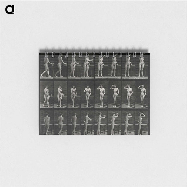 1-3_Eadweard-Muybridge_memo
