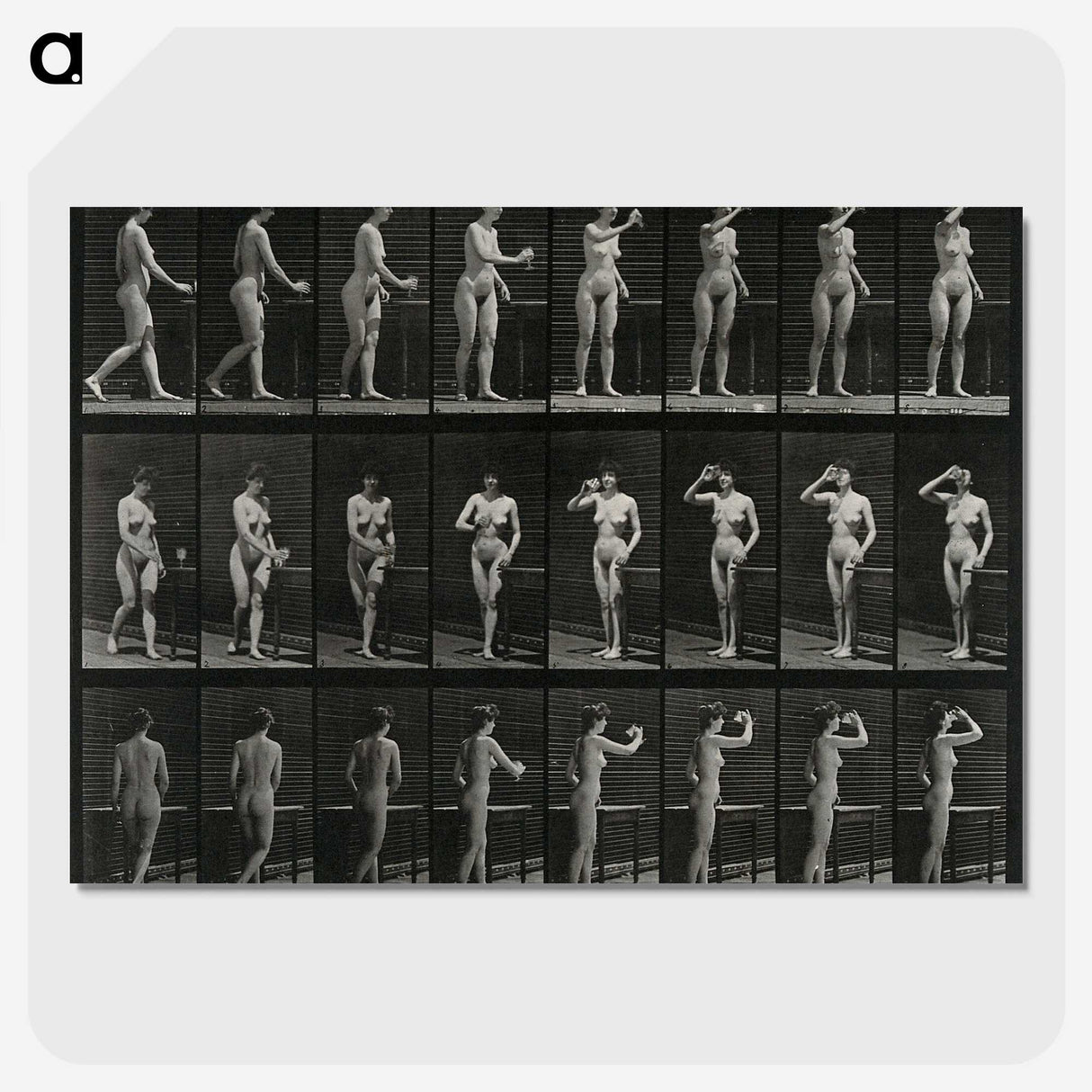 1-3_Eadweard-Muybridge_picture-crop