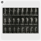 1-3_Eadweard-Muybridge_picture-crop