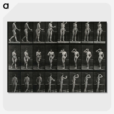1-3_Eadweard-Muybridge_picture-crop