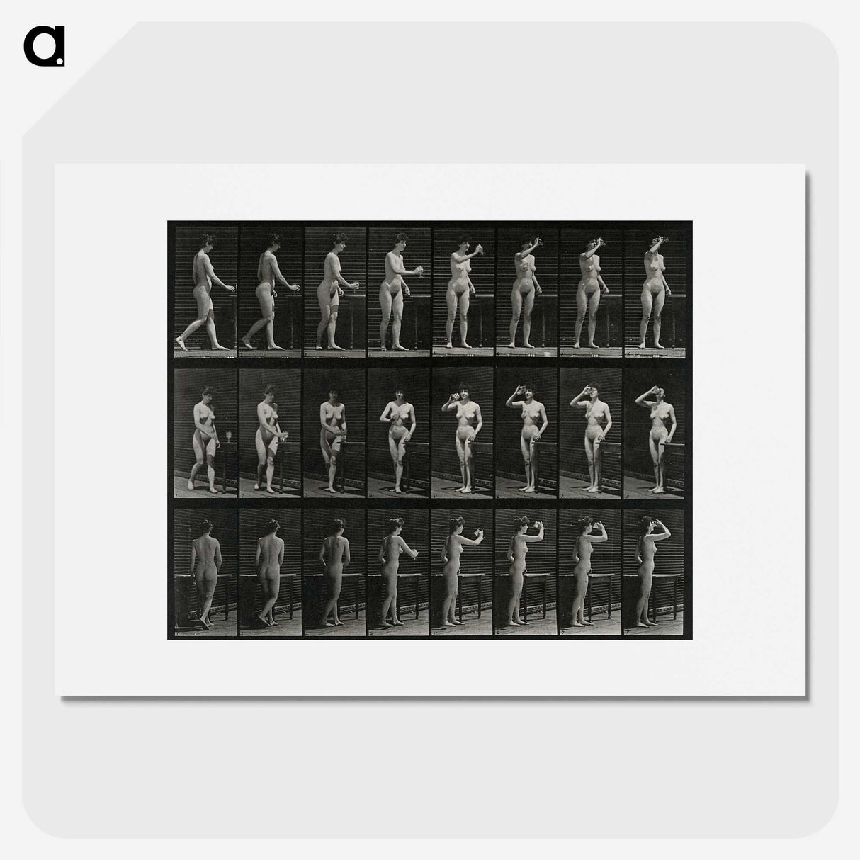 1-3_Eadweard-Muybridge_picture