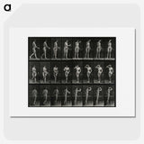 1-3_Eadweard-Muybridge_picture