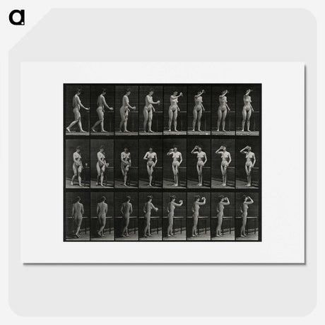 1-3_Eadweard-Muybridge_picture