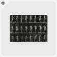 1-3_Eadweard-Muybridge_postcard