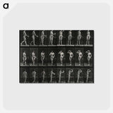 アートポストカード-Woman with Goblet
 - エドワード マイブリッジ Postcard.