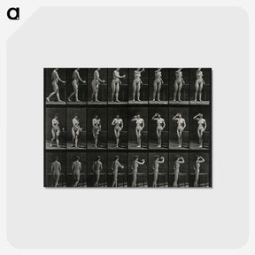 1-3_Eadweard-Muybridge_postcard