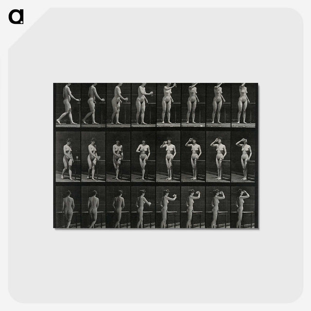 1-3_Eadweard-Muybridge_postcard