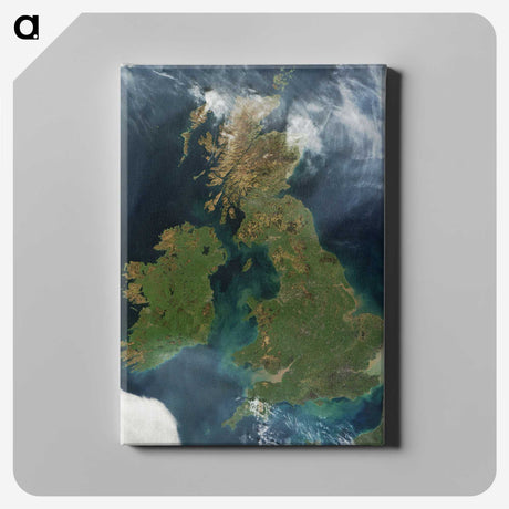 1-3_Earth-from-Above_canvas