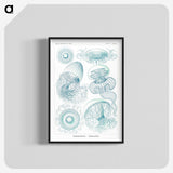 1-3_Ernst-Haeckel_blk-crop
