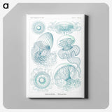 1-3_Ernst-Haeckel_canvas