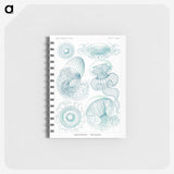 1-3_Ernst-Haeckel_memo
