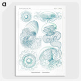 1-3_Ernst-Haeckel_picture-crop