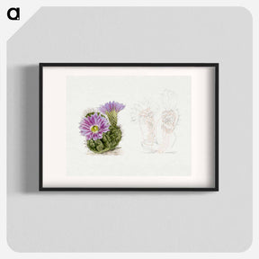 アートポスター-Purple Cactus
 - サボテン科 Poster.