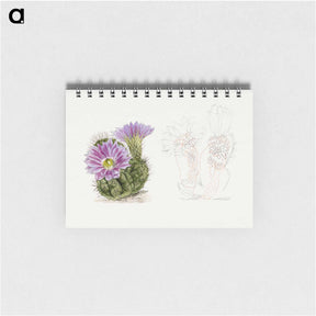 アートメモ帳-Purple Cactus
 - サボテン科 Memo.