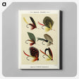 1-3_Favorite-Flies-and-Their-History_canvas