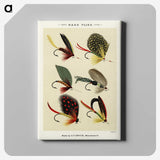 1-3_Favorite-Flies-and-Their-History_canvas