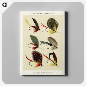 1-3_Favorite-Flies-and-Their-History_canvas